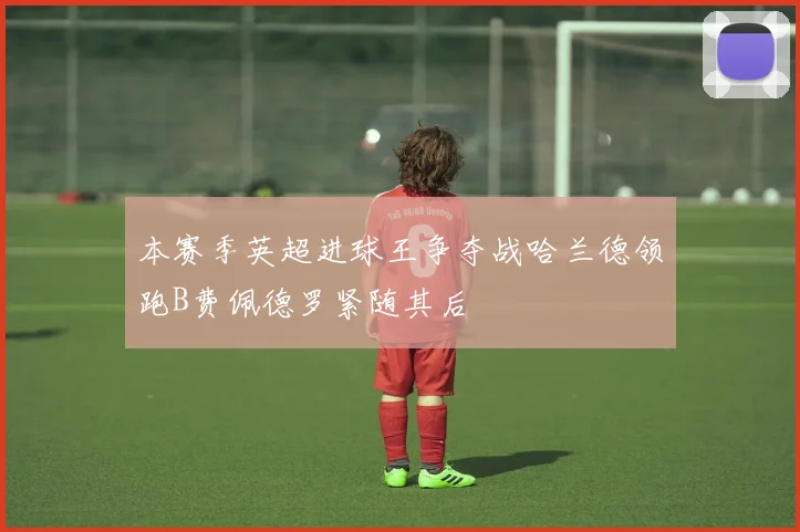 本赛季英超进球王争夺战哈兰德领跑B费佩德罗紧随其后
